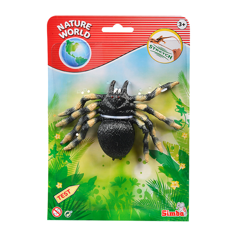 스트레치 생물 거미